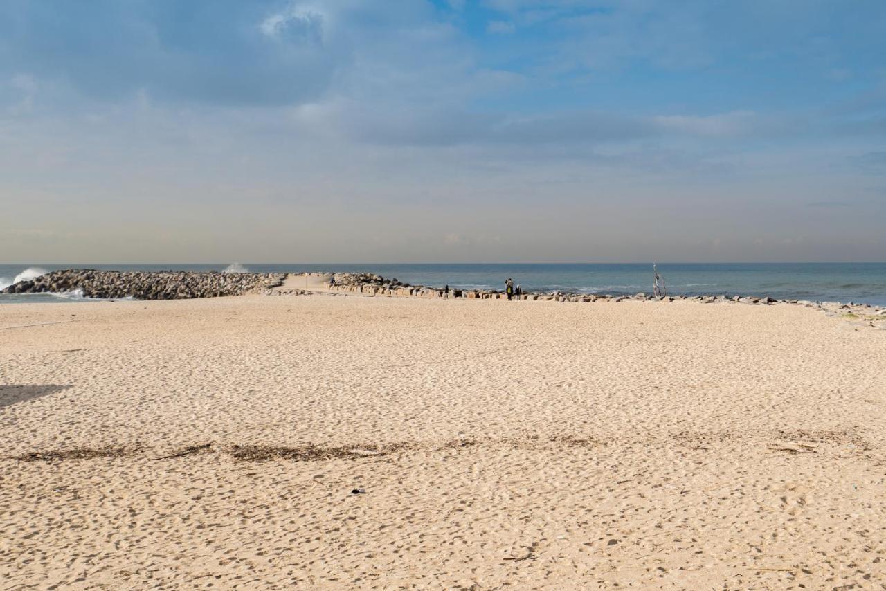 Host Wise - Spacious Fresh Flat W Terrace - Near Sea Espinho  Exteriör bild